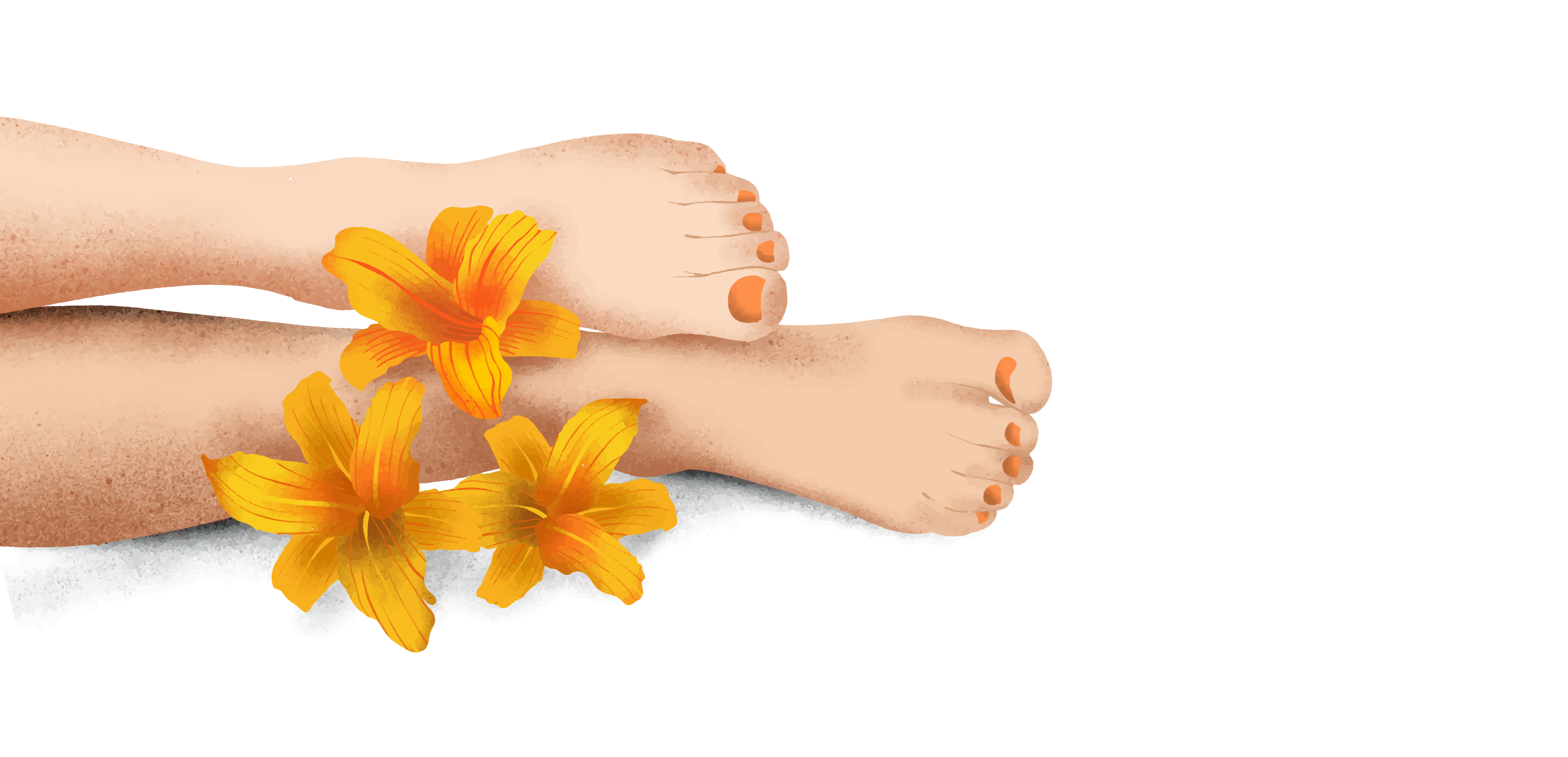 Alga Feet Care Banner